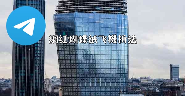 網红蝴蝶纸飞機折法