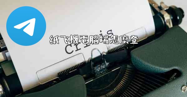 纸飞機電腦端怎麼登