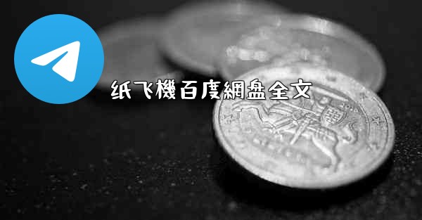 纸飞機百度網盘全文