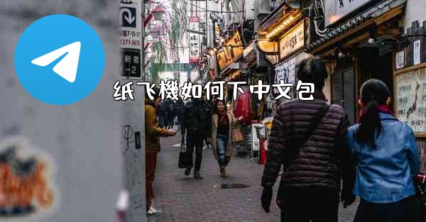 纸飞機如何下中文包