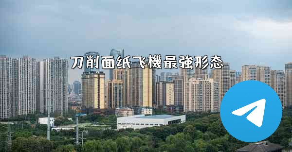 刀削面纸飞機最強形态