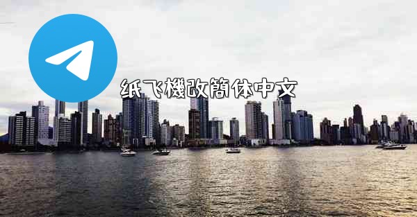 纸飞機改簡体中文