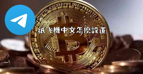 纸飞機中文怎麼設置