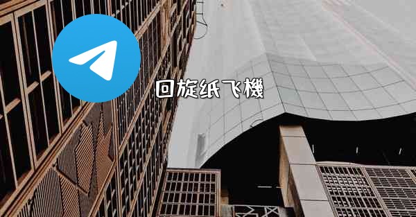 <b>回旋纸飞機</b>