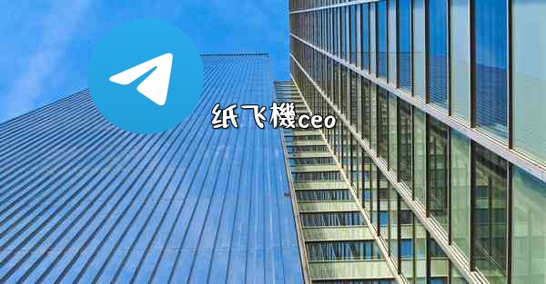 纸飞機ceo