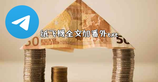 纸飞機全文加番外txt