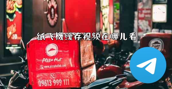 纸飞機缓存视频在哪儿看