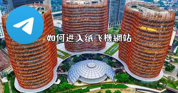 如何进入纸飞機網站