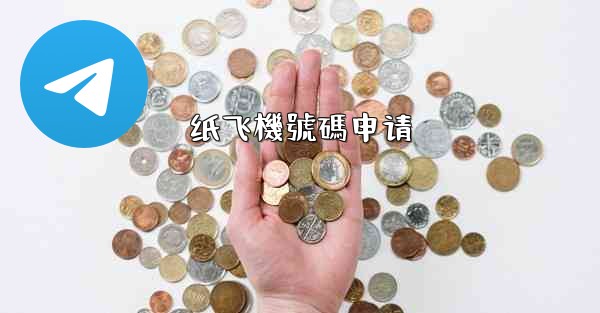 纸飞機號碼申请