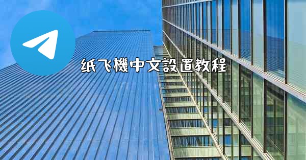 纸飞機中文設置教程
