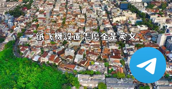 纸飞機設置怎麼全是英文