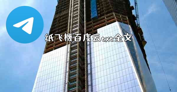 纸飞機百度云txt全文