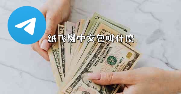 纸飞機中文包叫什麼