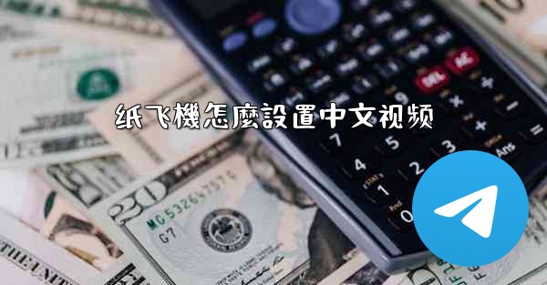 纸飞機怎麼設置中文视频