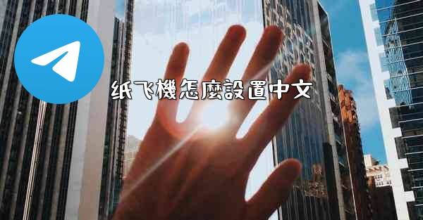 纸飞機怎麼設置中文