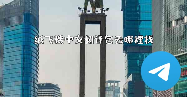 纸飞機中文翻译包去哪裡找