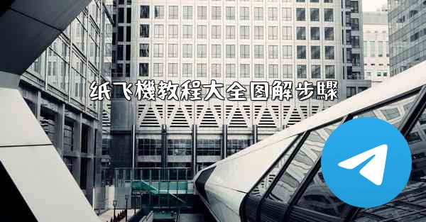 纸飞機教程大全图解步驟