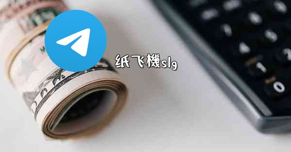 纸飞機slg
