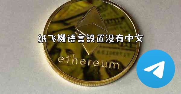 纸飞機语言設置没有中文