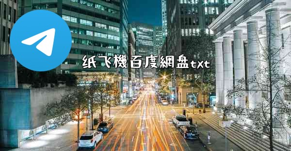 纸飞機百度網盘txt