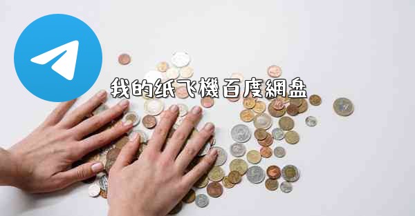 我的纸飞機百度網盘