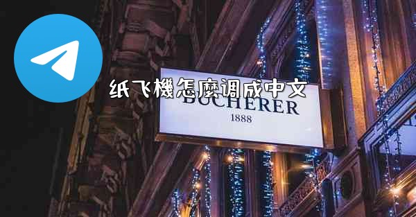 纸飞機怎麼调成中文