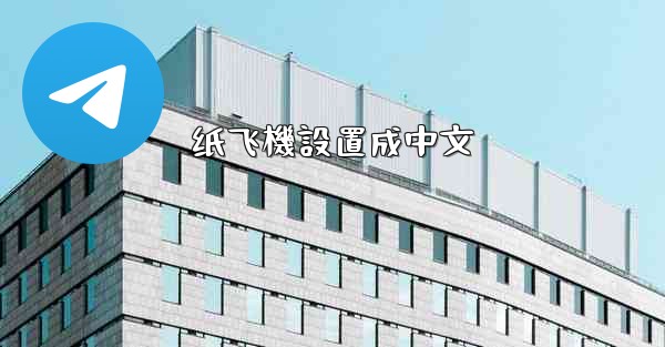 纸飞機設置成中文