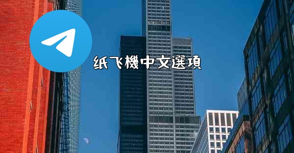 纸飞機中文選項