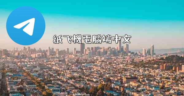 纸飞機電腦端中文