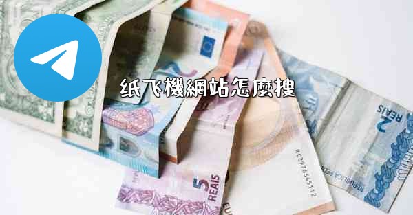 纸飞機網站怎麼搜