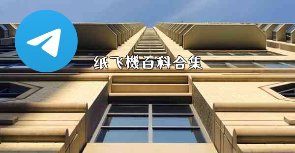 纸飞機百科合集