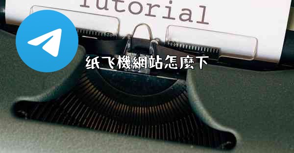 纸飞機網站怎麼下