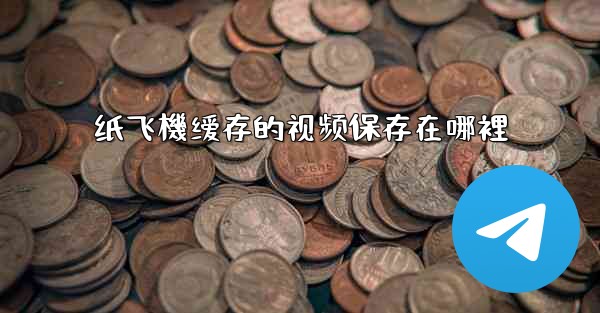 纸飞機缓存的视频保存在哪裡