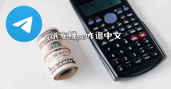 纸飞機pc咋调中文