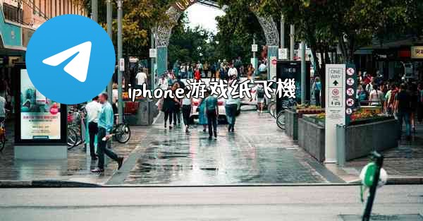 iphone游戏纸飞機