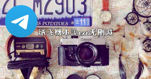 纸飞機小說txt无刪減