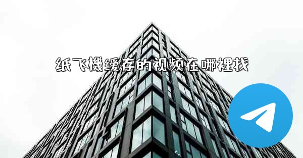 纸飞機缓存的视频在哪裡找