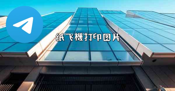 纸飞機打印图片
