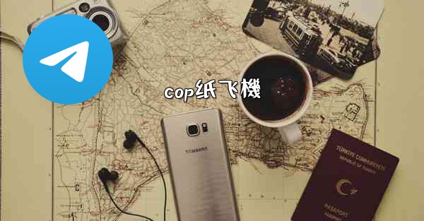 cop纸飞機