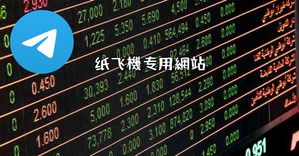 纸飞機专用網站