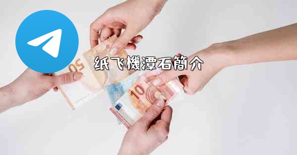 纸飞機潭石簡介