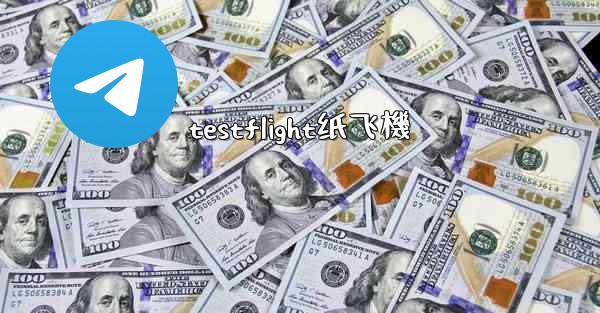 testflight纸飞機