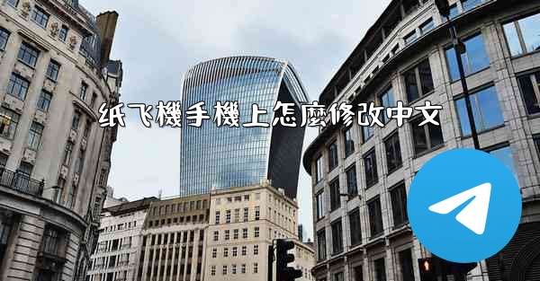 纸飞機手機上怎麼修改中文