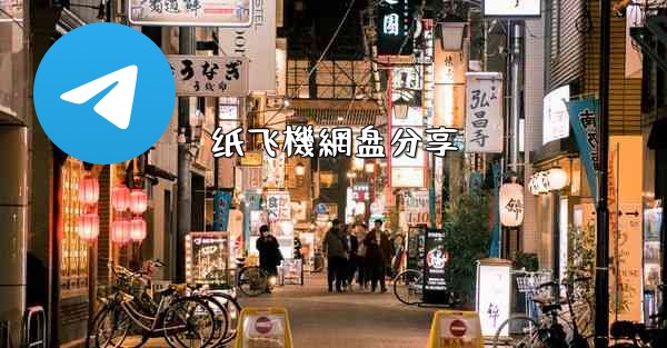 纸飞機網盘分享