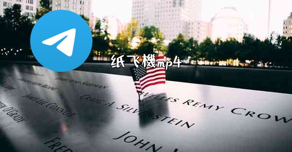 纸飞機mp4