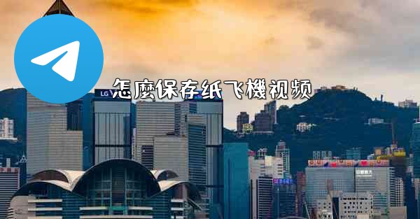 怎麼保存纸飞機视频