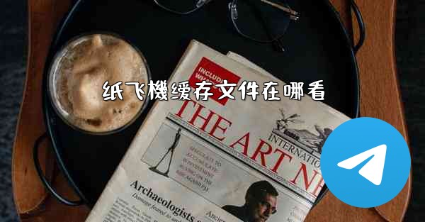 纸飞機缓存文件在哪看