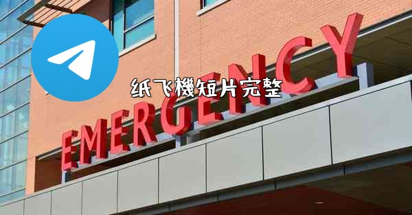 纸飞機短片完整