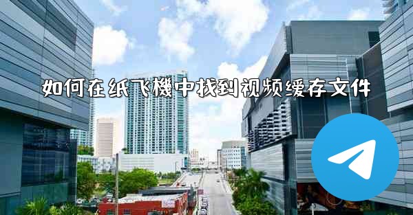 如何在纸飞機中找到视频缓存文件