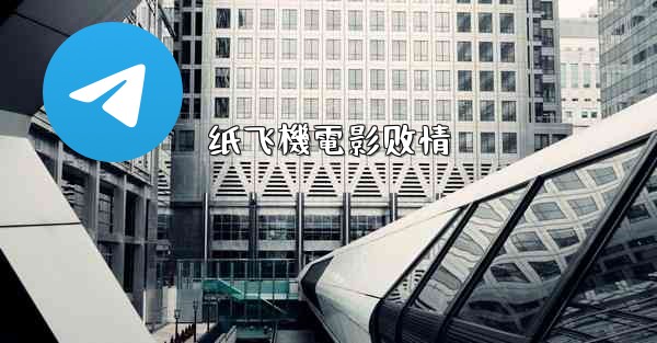 纸飞機電影剧情